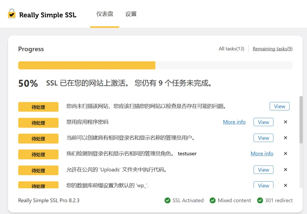 Really Simple SSL Pro 汉化版演示