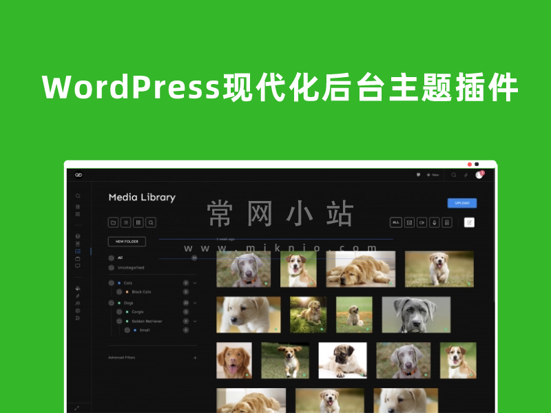 WP Admin2020 v2.0.3简洁WordPress现代仪表板主题插件